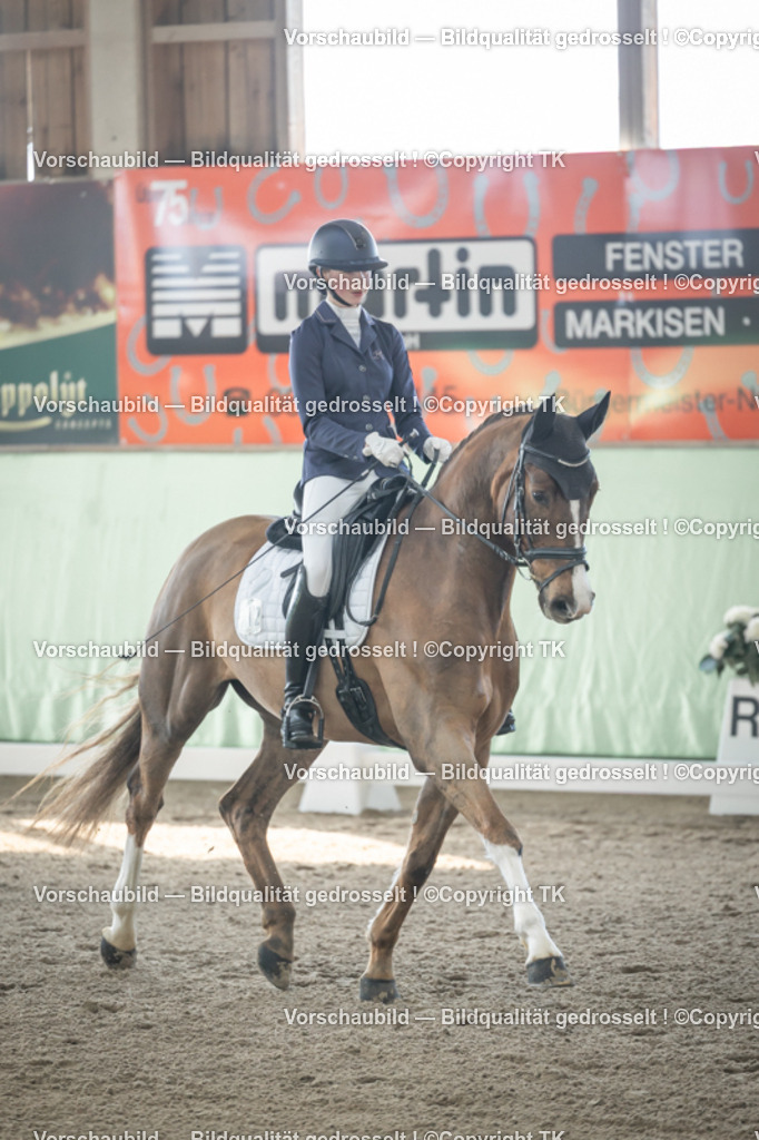 _D5A0590 | Emotionale Pferde- & People-Fotografie rund um Heidelberg, Leimen & Umgebung. Natürliche Fotos von Pferd, Mensch & Familie. Jetzt Termin sichern!