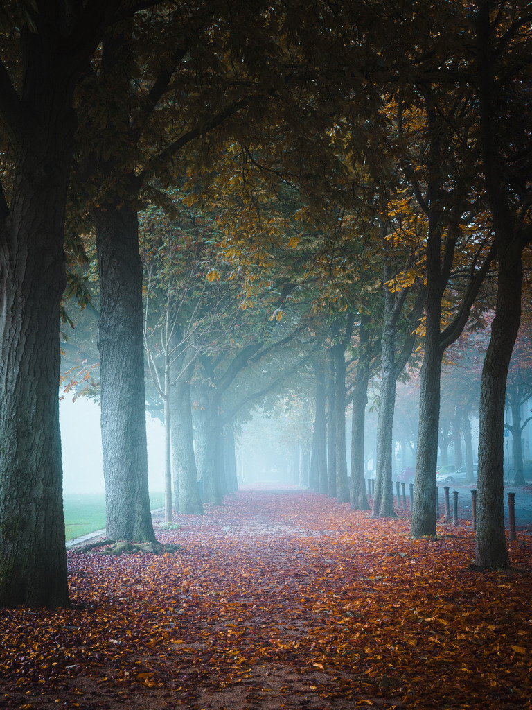 Löwenwall | Entdecke exklusive Fotokunst aus Braunschweig: Bildband, Leinwände, Postkarten, Kalender, digitale Downloads & Bildlizenzen. Jetzt im offiziellen Beautiful Braunschweig Shop! - Realisiert mit Pictrs.com