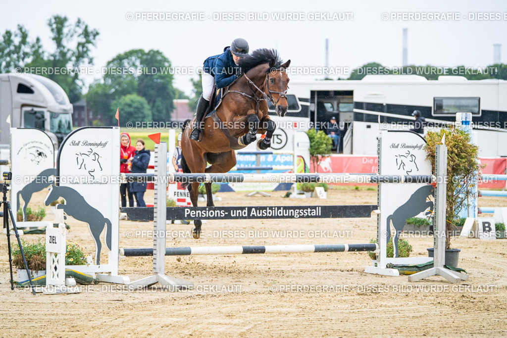 DSC08951 | Pferdegrafie