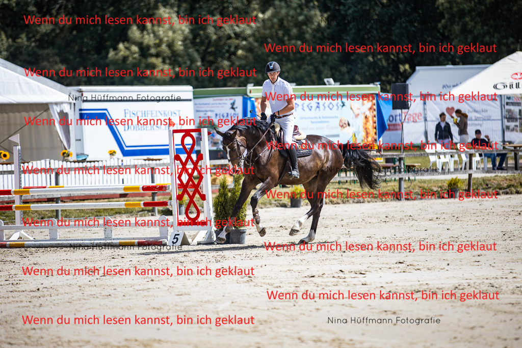 BK1A5072 | Turnierbilder Turnierfotos Nina Hüffmann Turnierfotografie Pferdefotografie Tierzeichnung Haustierzeichnung Pferdezeichnung Hundezeichnung Videograf  - Realisiert mit Pictrs.com