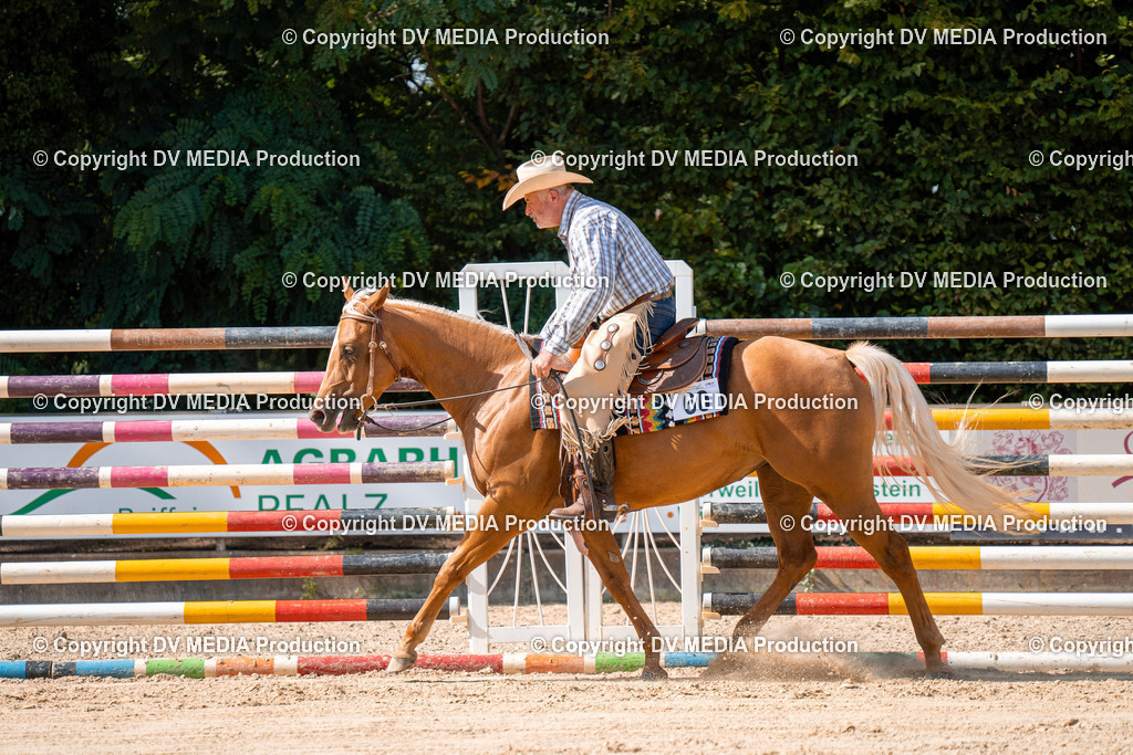 ZH100232 | dv-media-shop - Realisiert mit Pictrs.com