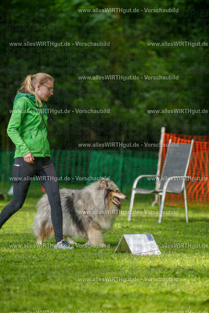 @allesWIRTHgut_Tierfotografie - www.allesWIRTHgut.de - 7R502114 | Professionelle Tierfotografie in Mönchengladbach von Daniel Wirth (allesWIRTHgut). Liebevolle & natürliche Bilder von Hunden & Katzen für unvergessliche Erinnerungen.