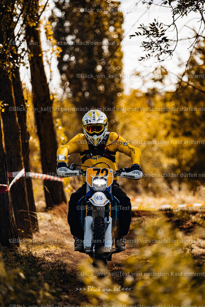 E68A2531 | blick_win_kel