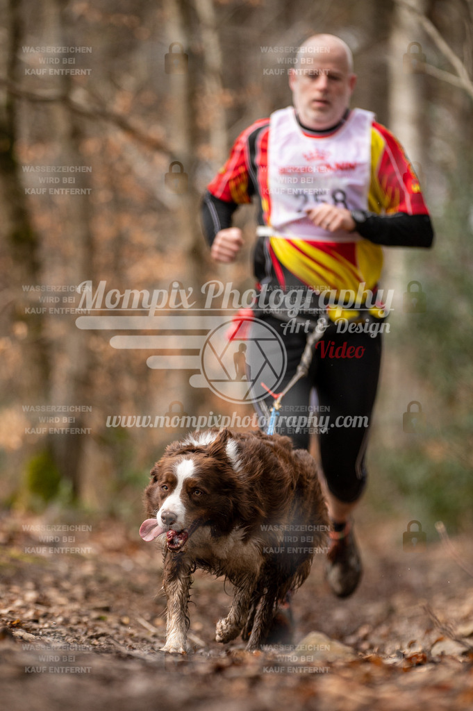 SPA_2023_DIM_CCK-41 | PayLife