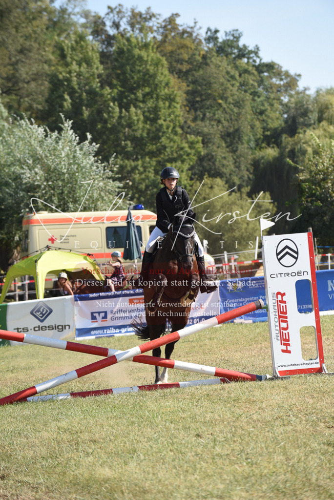 DSC_6006 | Pferde- und Turnierfotografie in Westsachsen. Pferdeportraits, Auftragszeichnungen und intuitive Kunst.