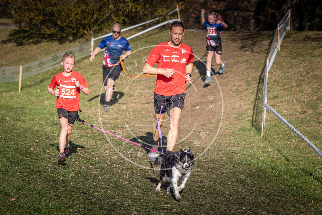 CaniXpix_0L8A8720 | Hundefotografie, Tierfotograf, Pfotenfotografie, Fotoshooting Hund, Hunde Portrait, Hundesport, Hundeportraits, Heideshooting, Hunde, Sportfotograf, Hundefotograf, Turnierhundsport, THS,  - Realisiert mit Pictrs.com