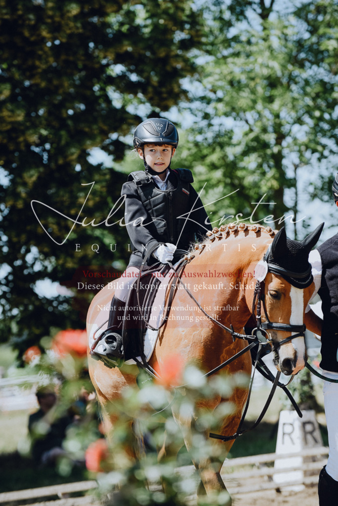 DSC_2505 | Pferde- und Turnierfotografie in Westsachsen. Pferdeportraits, Auftragszeichnungen und intuitive Kunst.