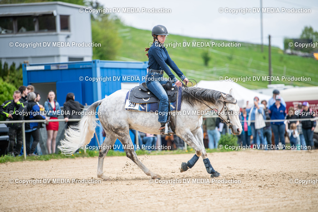 Heiligenwald Tag 2-1879 | dv-media-shop - Realisiert mit Pictrs.com