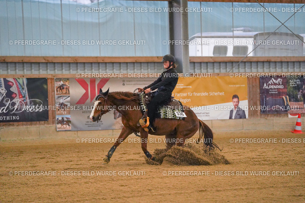 DSC09536 | Pferdegrafie