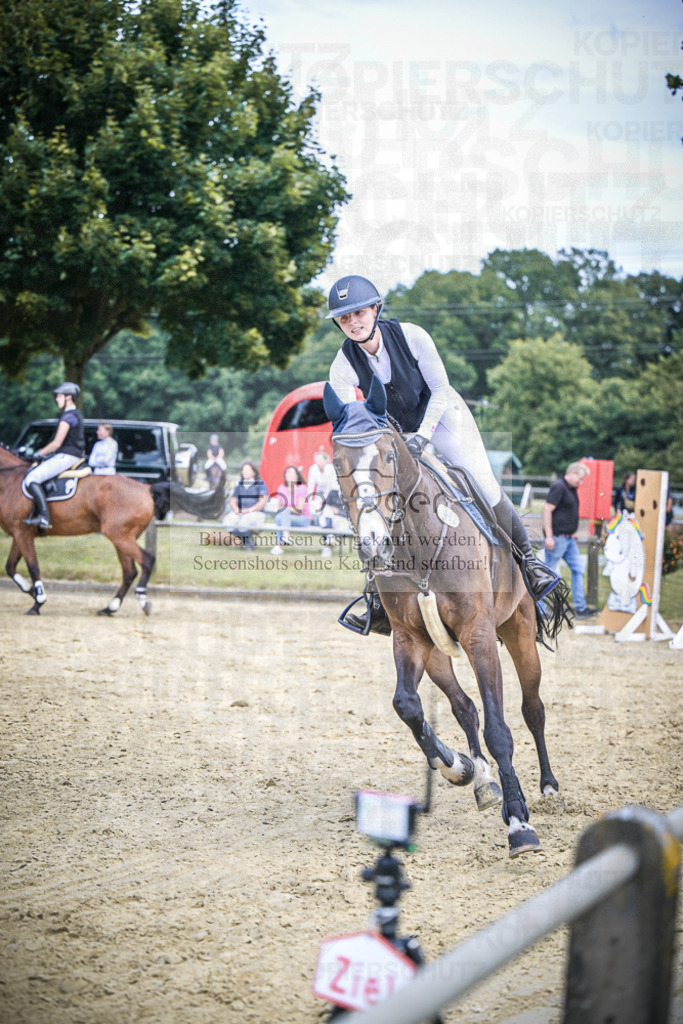 DOS_1803 | Entdecke hochwertige Reitturnierfotos von Foto Oger. Professionell, emotional und authentisch – jetzt Lieblingsmomente im Shop bestellen.Deutschlandweite Turnierfotografie. - Realisiert mit Pictrs.com