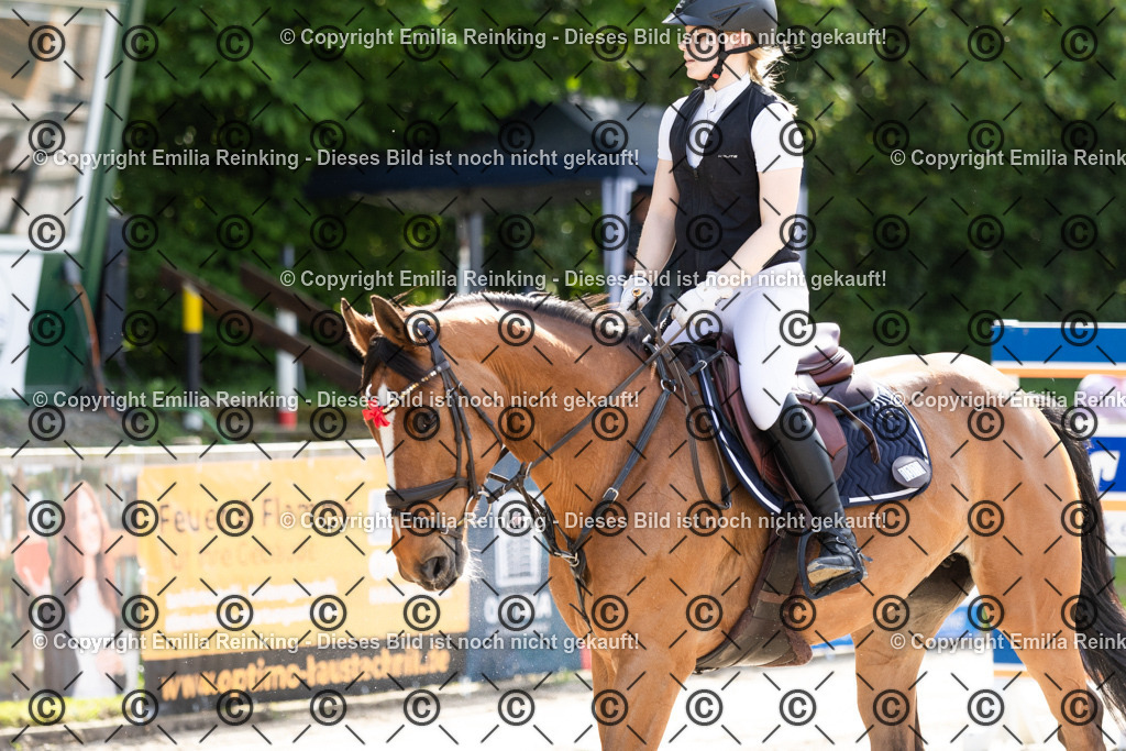 CL5A5182 | Emilia Reinking Fotografie - Realisiert mit Pictrs.com
