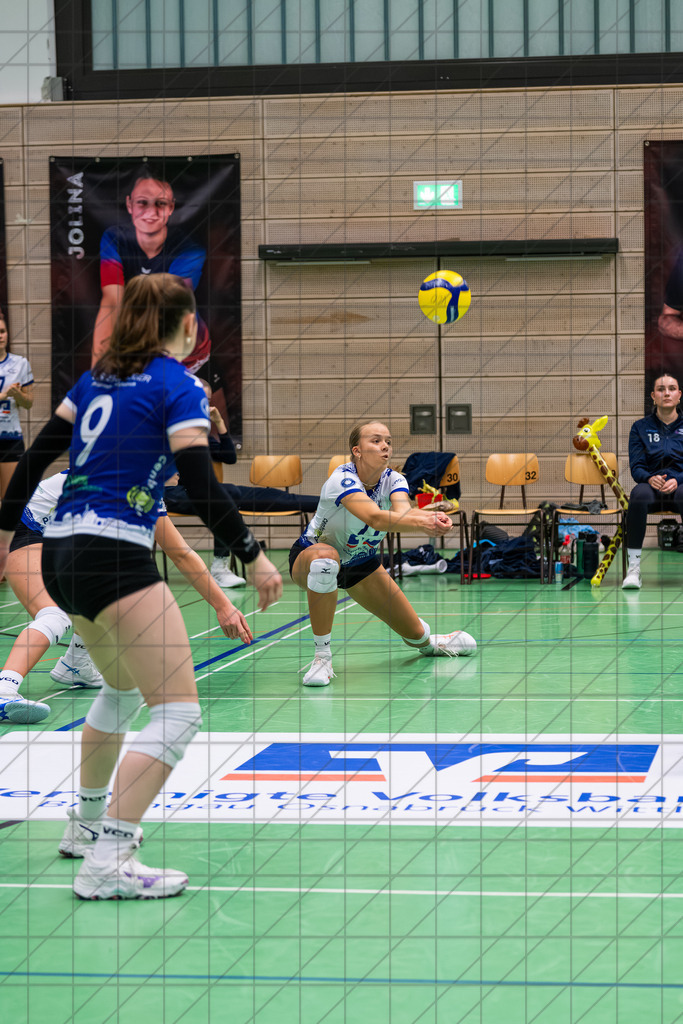 2. VBLF Nord 25/26 | Spiel 4029 | VC Osnabrück vs. SV Energie Cottbus | LORENZ Lotta (VC Osnabrück e.V. #12) in der Annahme. //  15.11.25: 2. VBLF Nord 25/26 | Spiel 4029 | VC Osnabrück vs. SV Energie Cottbus / Osnabrück / Deutschland  //   CREDIT:www.bullenfotos.de, Martin König, Hörner Weg 40, D-49078 Osnabrück, +4917663732967 // Nutzung und Weitergabe nur zu den vereinbarten Zwecken. Presseanfragen an Ersteller. Alle Rechte beim Ersteller. Honorierung nach MFM. - Realisiert mit Pictrs.com