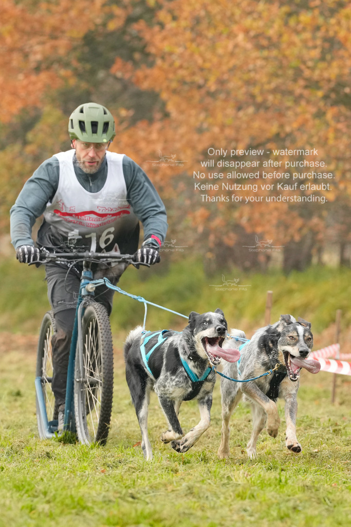 AusschnitteSa-201 | stephaniefillaphotographie - Realisiert mit Pictrs.com