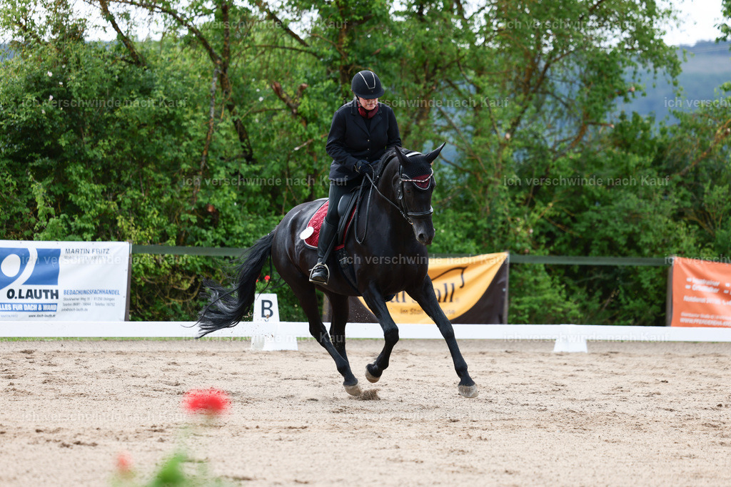 KlasseE_Stoibphotography_CAM21962.JPG | working equitationturnier fotograf videograf stoibphotography marixx film working equitation deutschland reitsport turnierfotografie eventfotografie equestrian events
