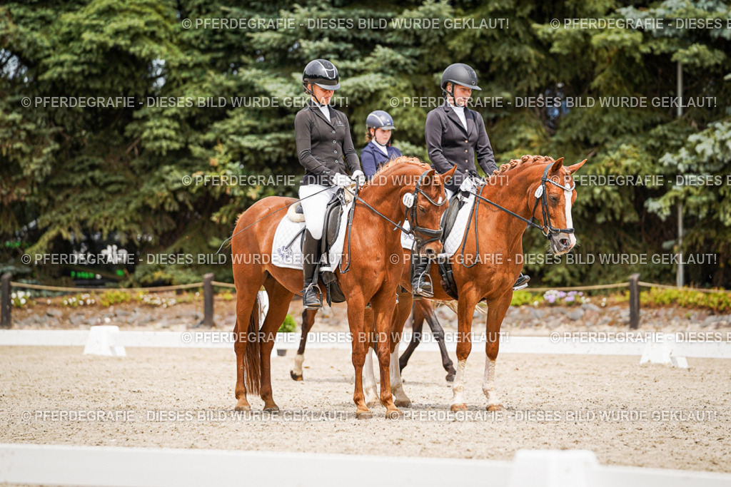 DSC04199 | Pferdegrafie