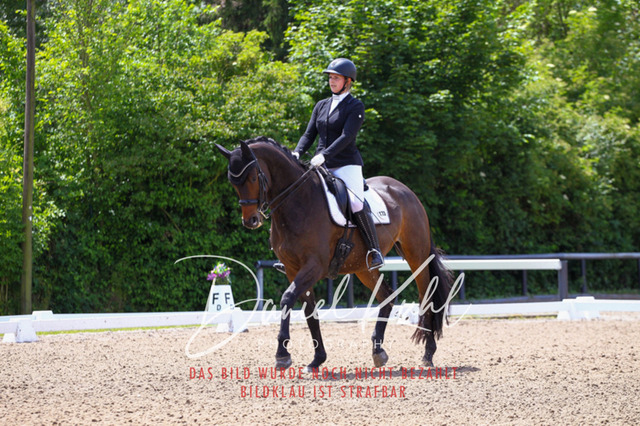 DKP40996 | Turnierfotos kaufen im Webshop von Daniel Kuhl Photography – entdecke professionelle Reitsportfotos aus Turnieren & Events. Hochwertige Turnierbilder online bestellen & sichern. Jetzt Fotos von Reitsportturnieren kaufen!