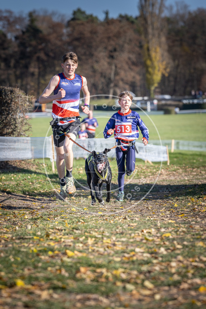 CaniXpix_DV3A7965 | Hundefotografie, Tierfotograf, Pfotenfotografie, Fotoshooting Hund, Hunde Portrait, Hundesport, Hundeportraits, Heideshooting, Hunde, Sportfotograf, Hundefotograf, Turnierhundsport, THS,  - Realisiert mit Pictrs.com