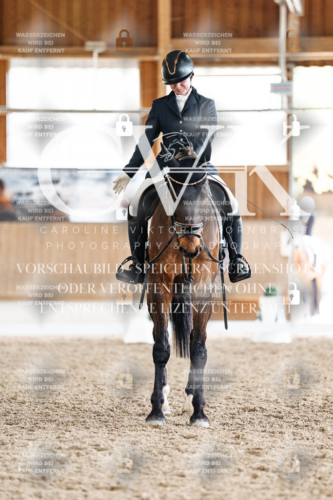 CK901784 | Turnierfotografie Pferdefotografie Trier Rheinland-Pfalz Pferdesport Reitsport Tierfotografie Sportfotografie Pferdevideo Pferdevideografie Equestrianvideography equestrianphotography  - Realisiert mit Pictrs.com