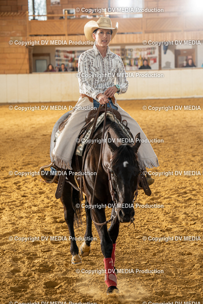 MIT00759 | dv-media-shop - Realisiert mit Pictrs.com