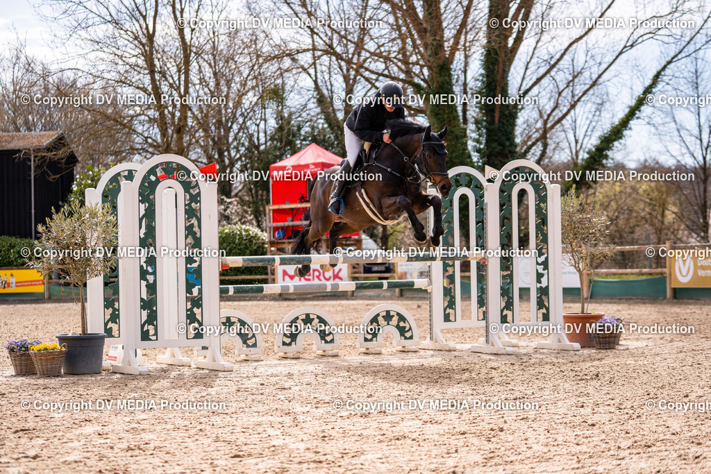 Kranichstein Tag 2-541 | dv-media-shop - Realisiert mit Pictrs.com