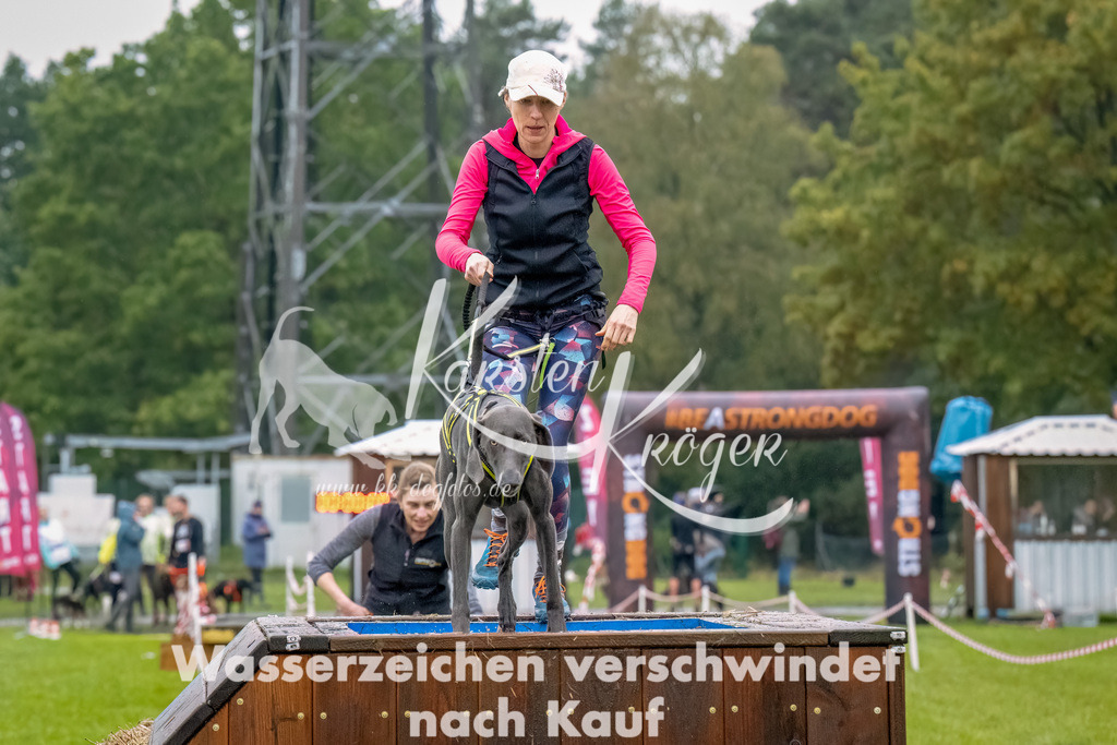 1024--18 | kk-dogfotos