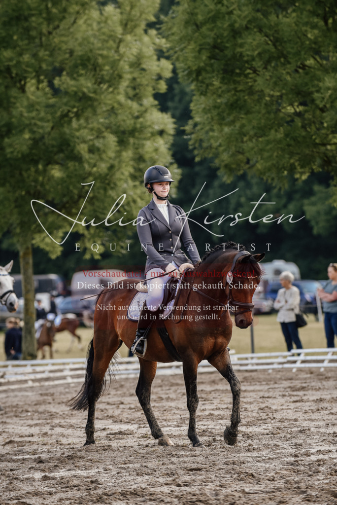 DSC_8287 | Pferde- und Turnierfotografie in Westsachsen. Pferdeportraits, Auftragszeichnungen und intuitive Kunst.