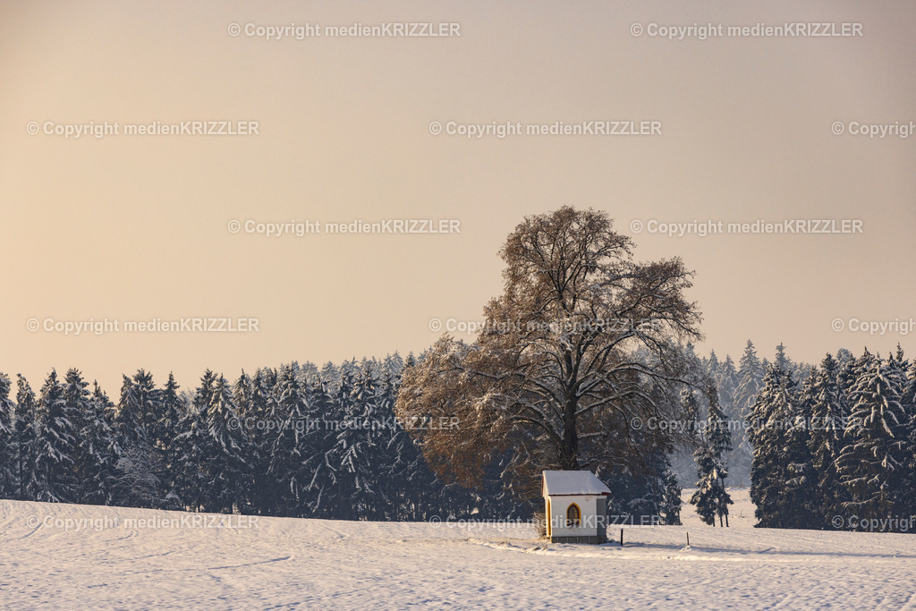 _J3A9605 | medienkrizzler - Realisiert mit Pictrs.com