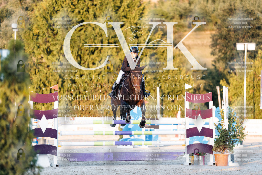 CK901228 | Turnierfotografie Pferdefotografie Trier Rheinland-Pfalz Pferdesport Reitsport Tierfotografie Sportfotografie Pferdevideo Pferdevideografie Equestrianvideography equestrianphotography  - Realisiert mit Pictrs.com
