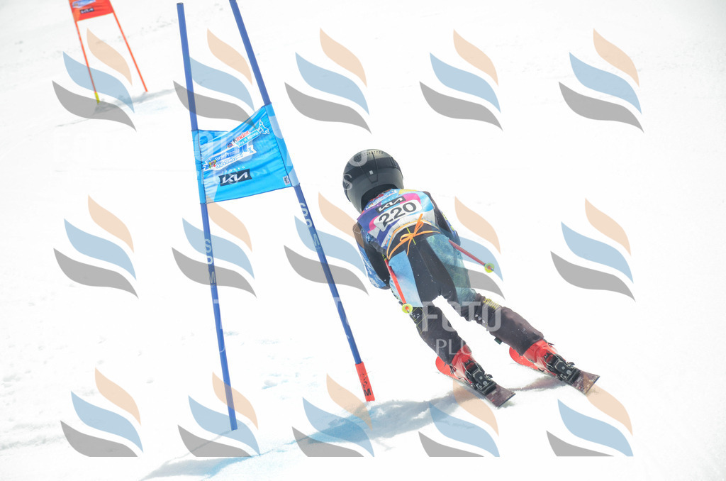 _ELE7177 | holidayphoto