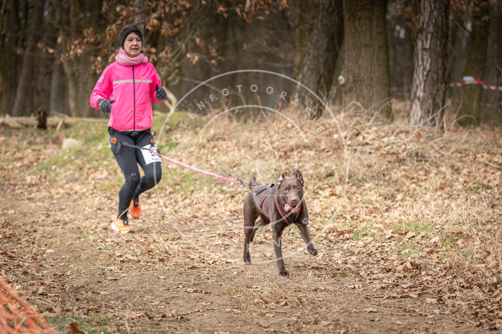 Pfotenfotografie_DV3A2062 | Hundefotografie, Tierfotograf, Pfotenfotografie, Fotoshooting Hund, Hunde Portrait, Hundesport, Hundeportraits, Heideshooting, Hunde, Sportfotograf, Hundefotograf, Turnierhundsport, THS,  - Realisiert mit Pictrs.com