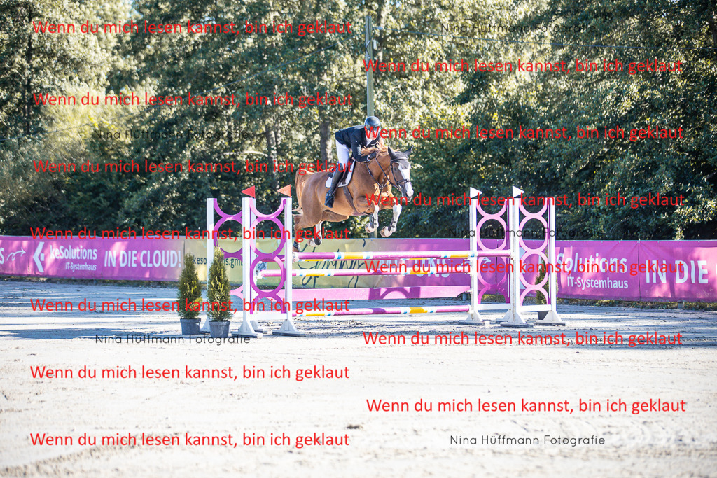 BK1A5972 | Turnierbilder Turnierfotos Nina Hüffmann Turnierfotografie Pferdefotografie Tierzeichnung Haustierzeichnung Pferdezeichnung Hundezeichnung Videograf  - Realisiert mit Pictrs.com