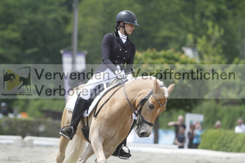 _MG_9508 | equestrian-live-com