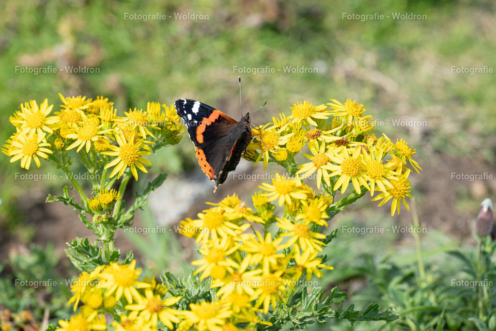 20230815 Isle of Sky - St.Andrews - Dundee-106 | Fotografie Woldron