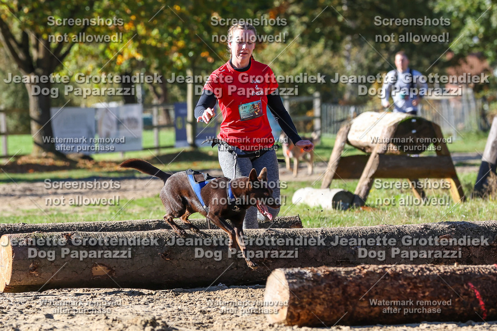 Dog Paparazzi - Strongdog 10-25-2499 | Dog Paparazzi Jeanette Grottendiek Fotografie & Videografie - Realisiert mit Pictrs.com