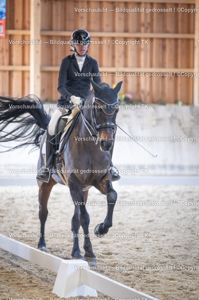 _D5A5008 | Emotionale Pferde- & People-Fotografie rund um Heidelberg, Leimen & Umgebung. Natürliche Fotos von Pferd, Mensch & Familie. Jetzt Termin sichern!