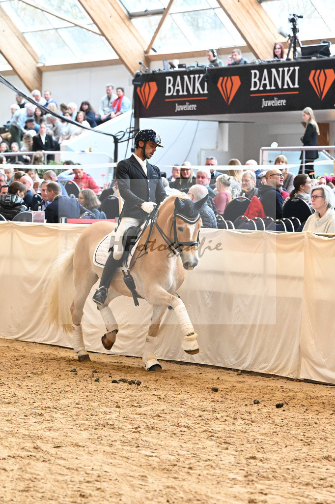 Schauprogramm Haflinger_DSP Amiro_2251560 | hf-fotografie - Realisiert mit Pictrs.com
