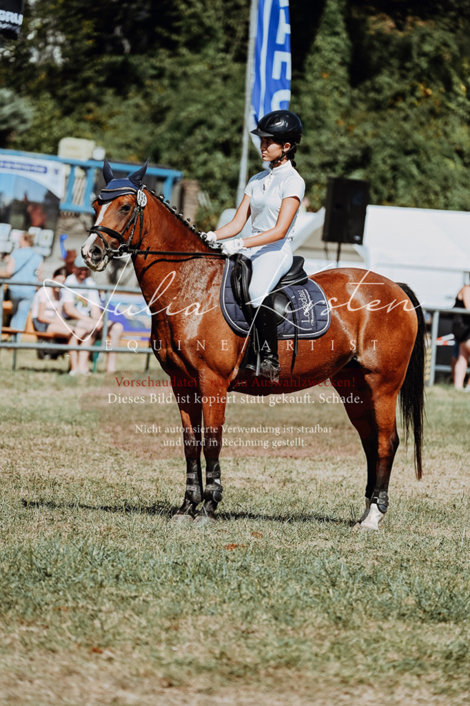 DSC_9880 | Pferde- und Turnierfotografie in Westsachsen. Pferdeportraits, Auftragszeichnungen und intuitive Kunst.