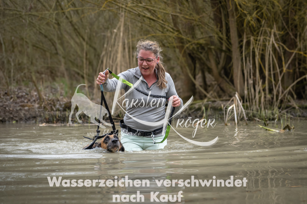 1456_ZZ91256 | kk-dogfotos