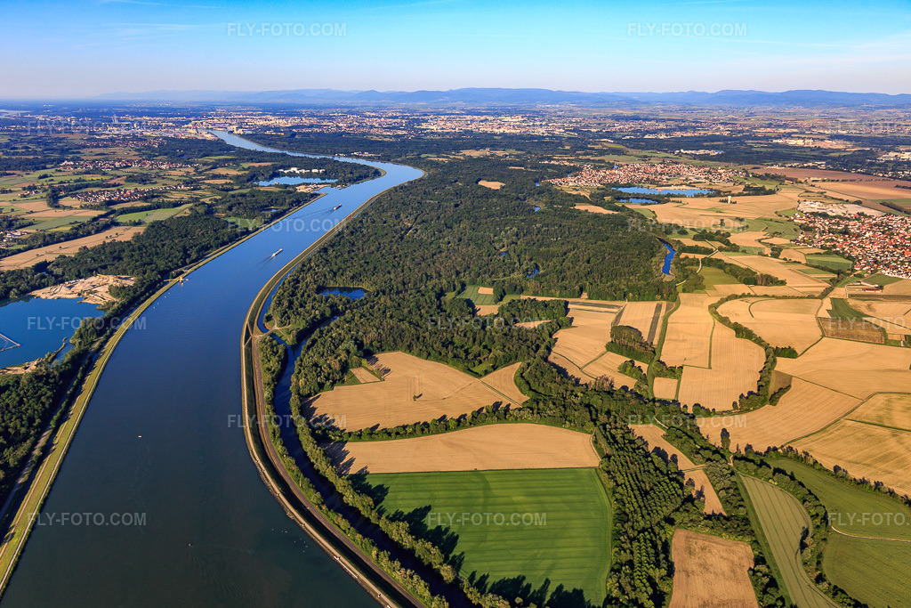Aerial view: Course of the Ill and Waldrhein rivers along the Rhine in La Wantzenau in the state Bas-Rhin, France.Photo: IMG_114992.jpg taken on 06/01/2019 by Werner Riehm/FLY-FOTO.comResolution of the original: 5431 x 3621 px