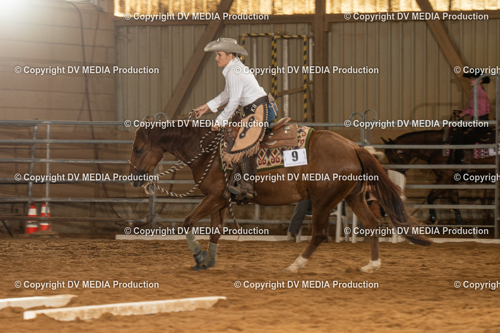 NID01550 | dv-media-shop - Realisiert mit Pictrs.com