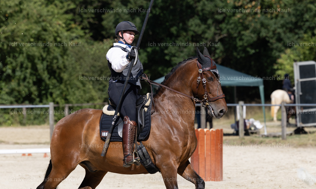 WE_Trail_80_KerstinBernhardt-10 | working equitationturnier fotograf videograf stoibphotography marixx film working equitation deutschland reitsport turnierfotografie eventfotografie equestrian events