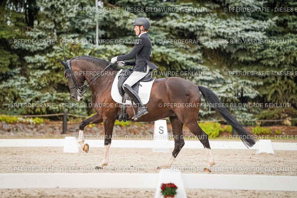 DSC08987 | Pferdegrafie