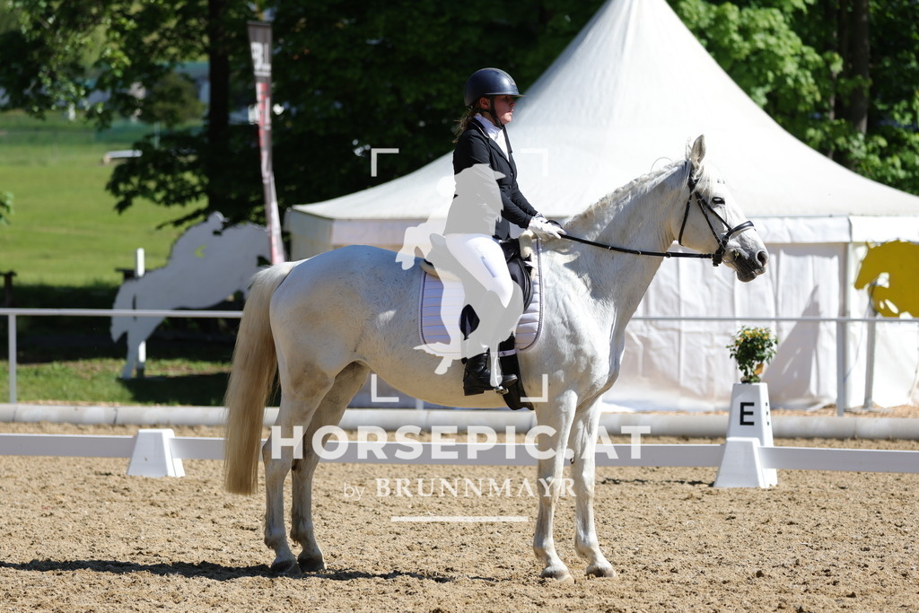 0P6A9781 | Willkommen bei Brunnmayr - Design & Fotografie – Ihrem Spezialisten für Reitturniere und Pferdeveranstaltungen in Oberösterreich, Salzburg und Bayern! Seit über 17 Jahren sind wir leidenschaftlich dabei.