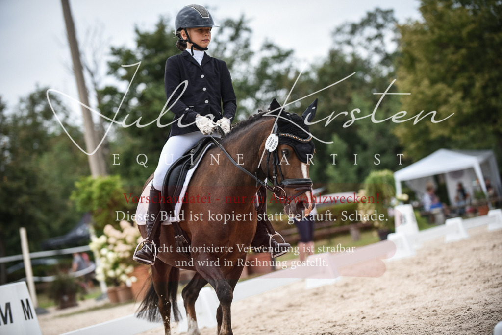 DSC_8130 | Pferde- und Turnierfotografie in Westsachsen. Pferdeportraits, Auftragszeichnungen und intuitive Kunst.
