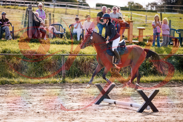 2026_10_03_Siefer-Hof_145735_Z81_39576034 | Professionelle Reitsport-, Turnier- und Eventfotografie von Robert Broda. Galerien mit ausgewählten und bearbeiteten Bildern direkt online ansehen und bestellen.