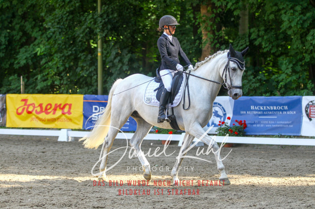 DKP42622 | Turniersportfotografie; Pferdefotografie; Dressurfotografie