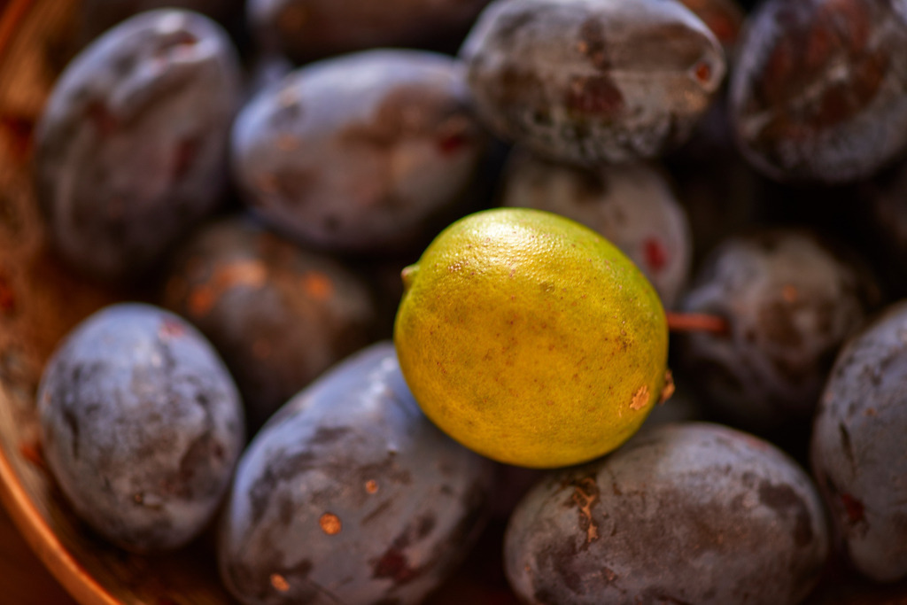 Eine gelbe Zitrone zwischen Zwetschgen | Montalcino, Italien - August 30, 2016: Eine gelbe Zitrone zwischen Zwetschgen. - Realisiert mit Pictrs.com