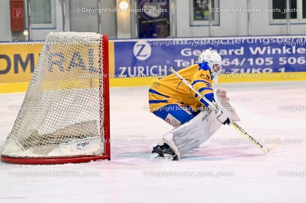 ESC Steindorf vs. EHC Althofen 13.1.2024 | #31 Horn Fabian