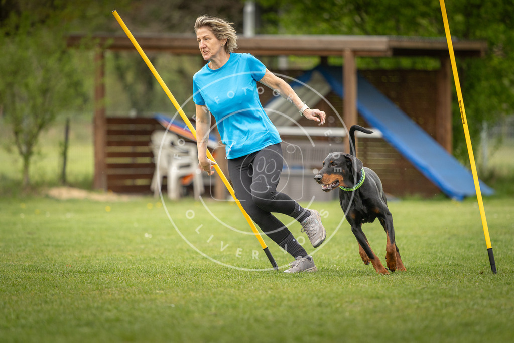 Pfotenfotografie_DV3A1761 | Hundefotografie, Tierfotograf, Pfotenfotografie, Fotoshooting Hund, Hunde Portrait, Hundesport, Hundeportraits, Heideshooting, Hunde, Sportfotograf, Hundefotograf, Turnierhundsport, THS,  - Realisiert mit Pictrs.com
