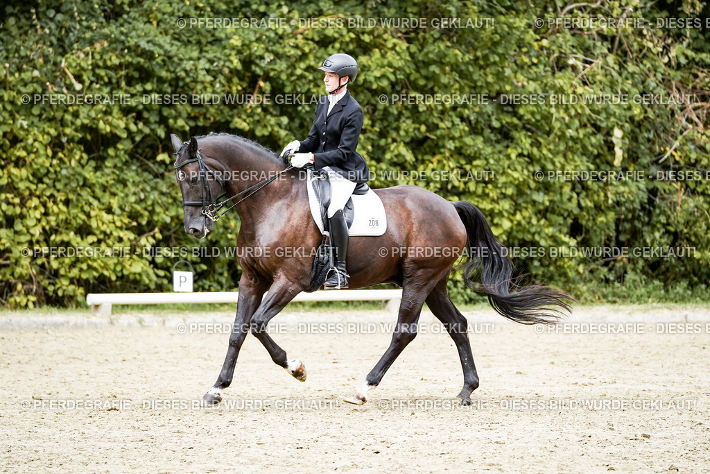 DSC05948 | Pferdegrafie